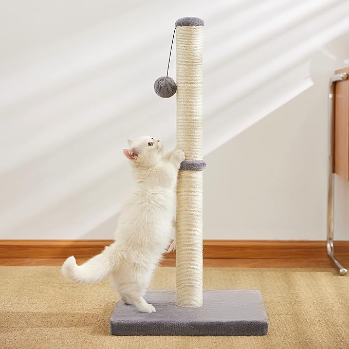 29 inch Tall Cat Scratching Post, Claw Scratcher Sisal Rope Covered Soft Smooth Plush