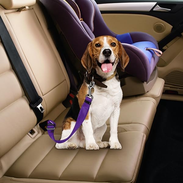 Adjustable Length Pet Dog Cat car seat Belt Pet seat Belt